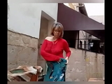 Homenagem de um f&atilde_ de verdade   StellaStill